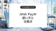ANA Payの使い方と注意点