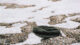 lost-hat-1479648